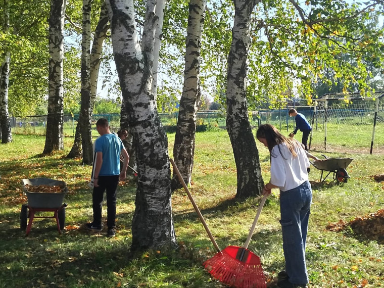 "Осенний субботник".